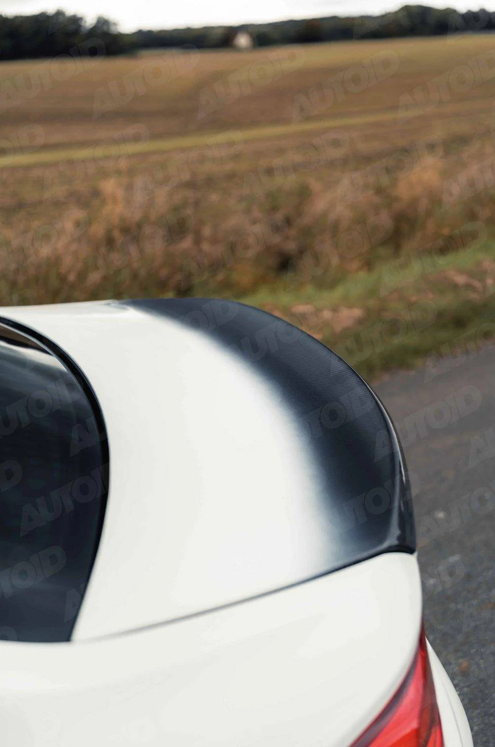 BMW 2 Series F22 & M2 F87 Full Carbon Fibre T-CSL Style Boot Lid by FORM (2014-2021) - Image 17